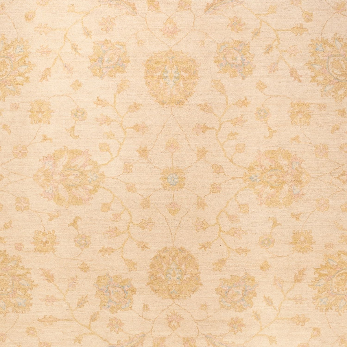 Ziegler Rug - 368 x 274 cm - beige