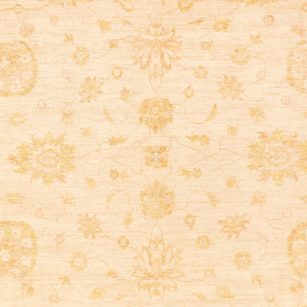 Ziegler Rug - 367 x 270 cm - beige