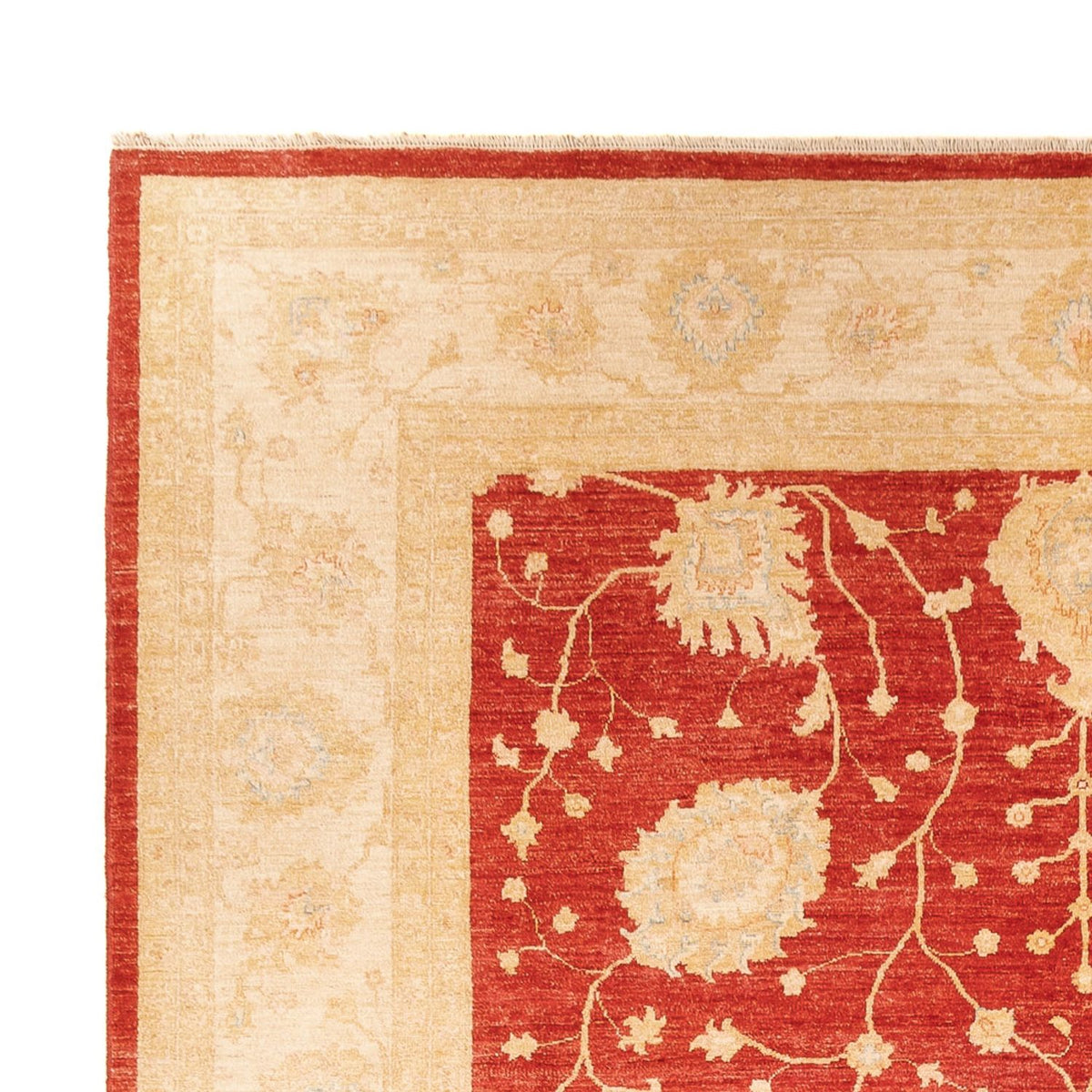 Ziegler Rug 277x367cm - Oriental Rug