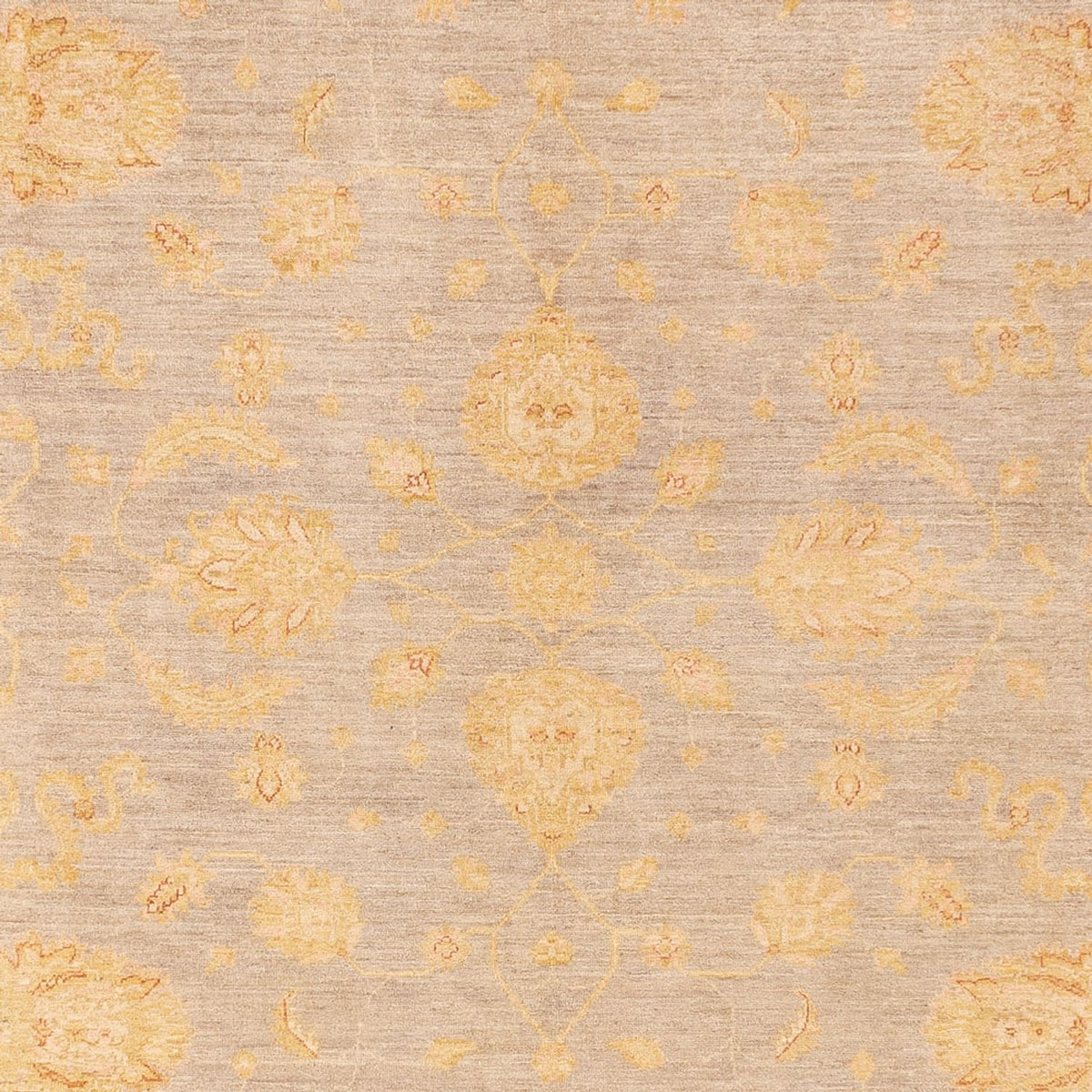 Ziegler Rug - 360 x 271 cm - dark beige