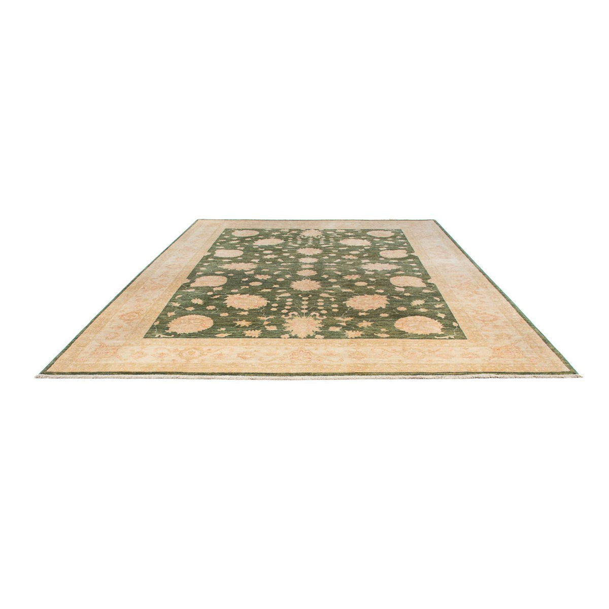 Ziegler Rug - 365 x 275 cm - olive green