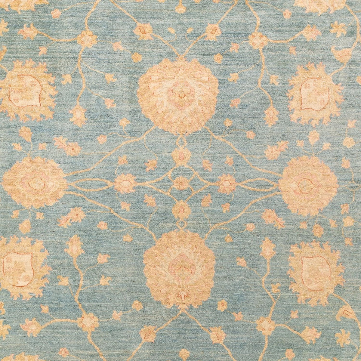 Ziegler Rug - 363 x 277 cm - light blue