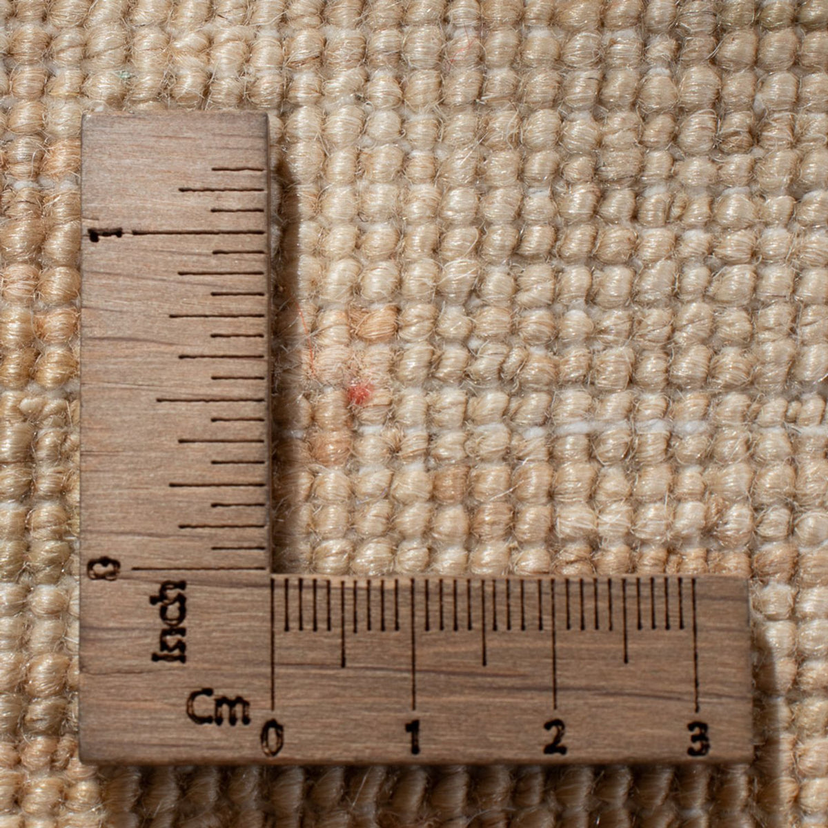 Ziegler Rug - 378 x 272 cm - black