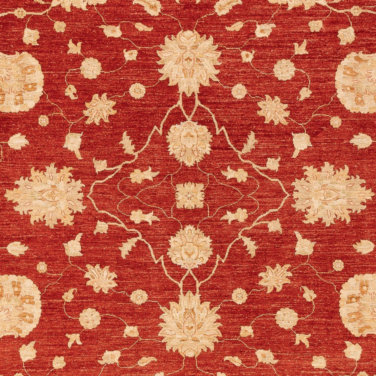 Ziegler Rug - 360 x 268 cm - red