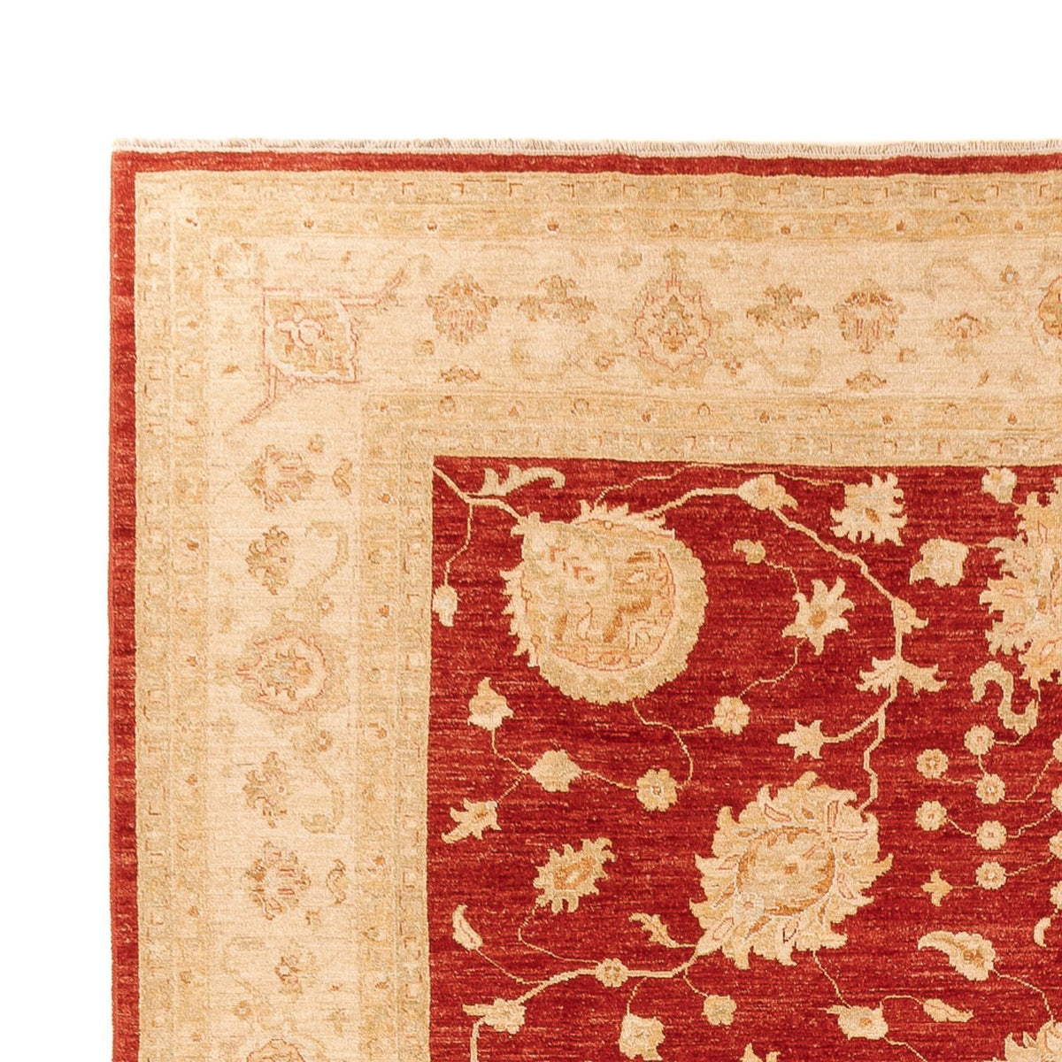 Ziegler Rug - 360 x 268 cm - red