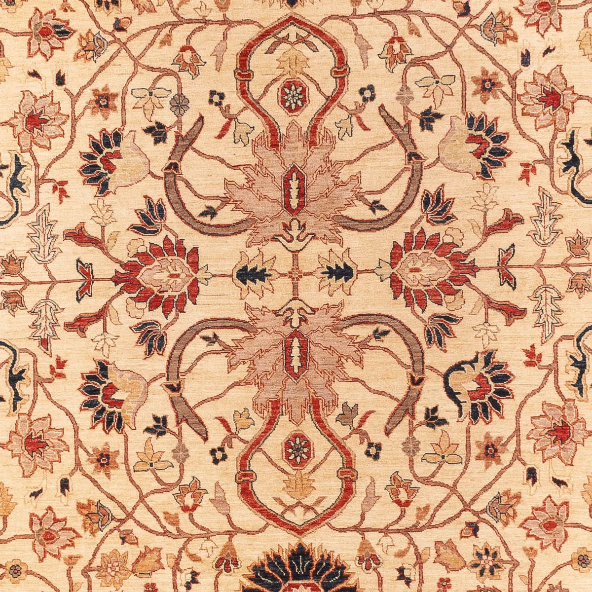 Ziegler Rug - 365 x 276 cm - beige