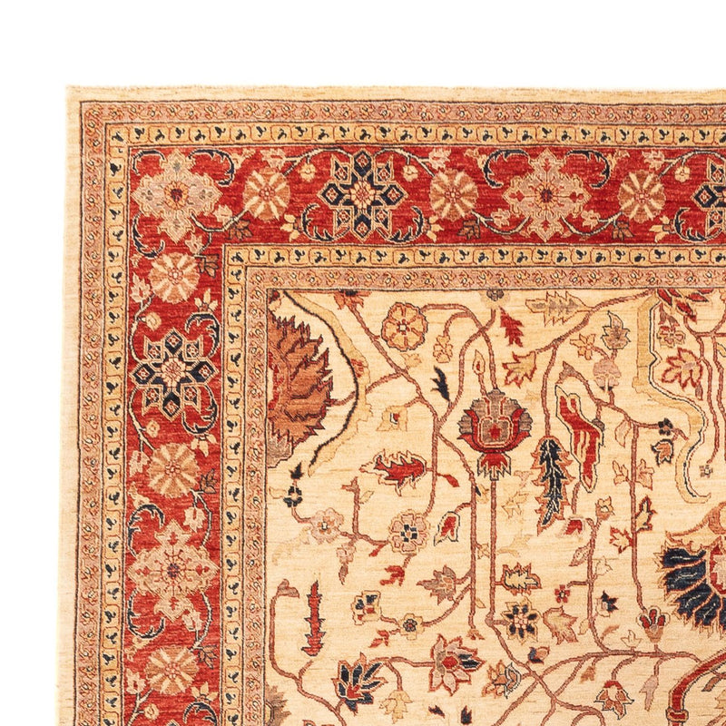 Ziegler Rug - 365 x 276 cm - beige