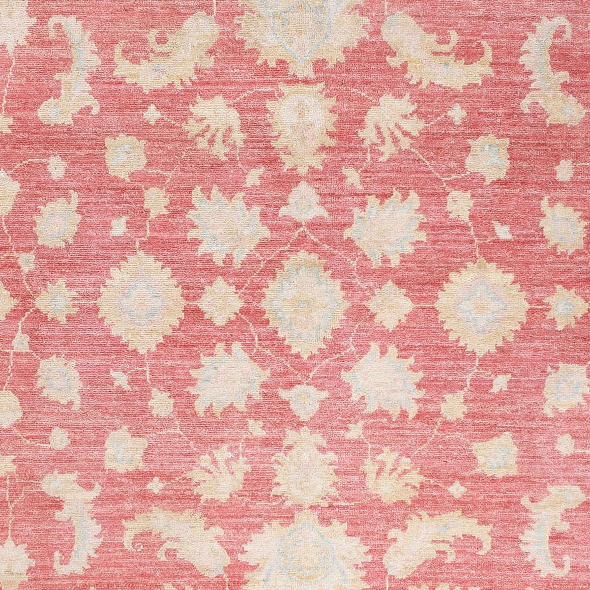 Ziegler Rug - 245 x 175 cm - red