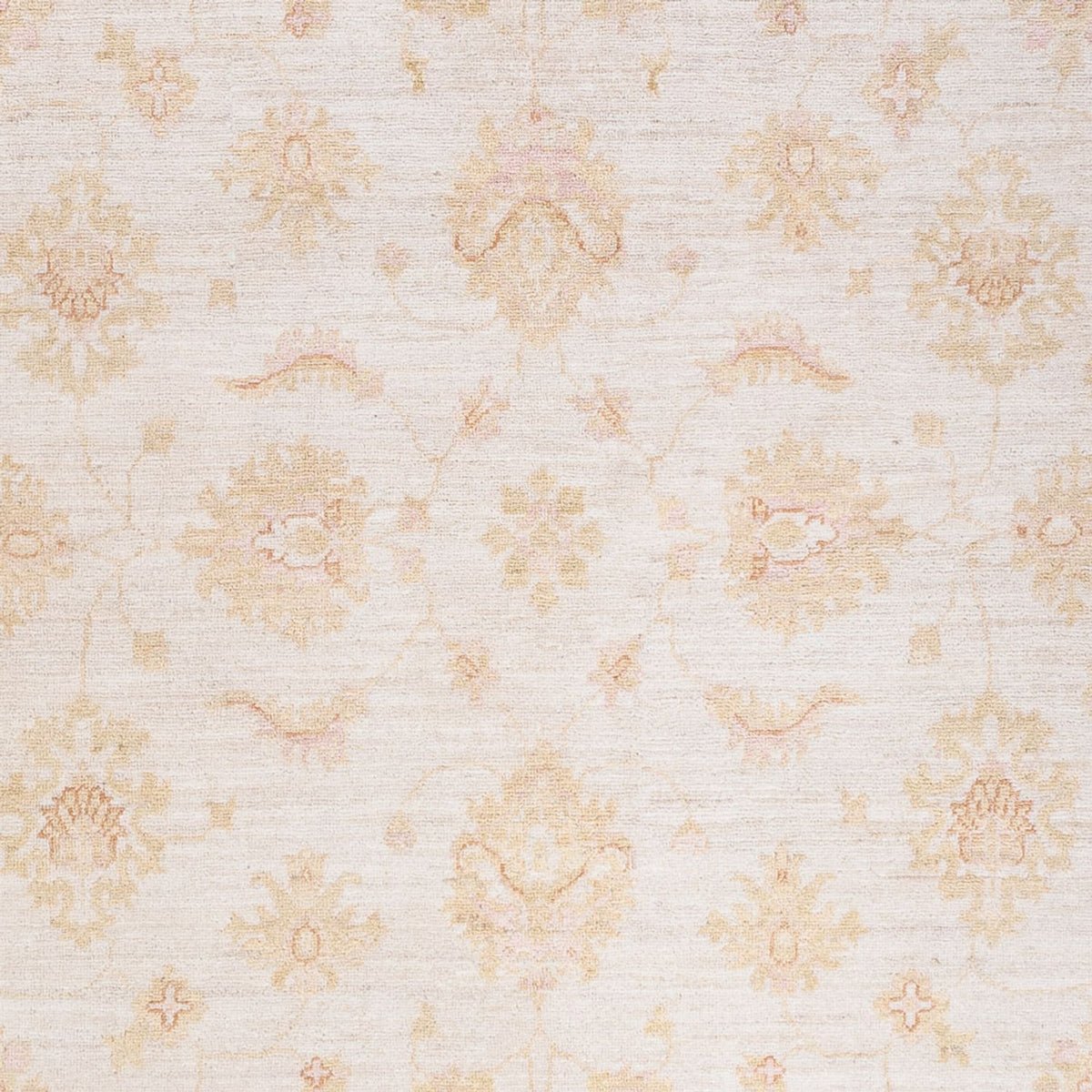 Ziegler Rug - 248 x 175 cm - cream
