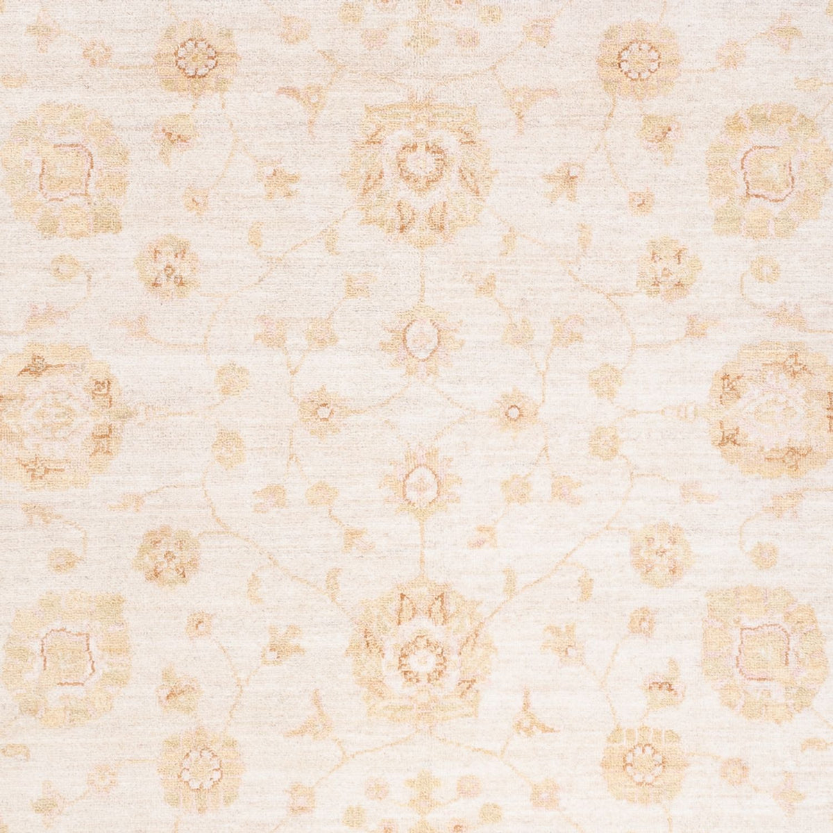 Ziegler Rug - 240 x 171 cm - cream