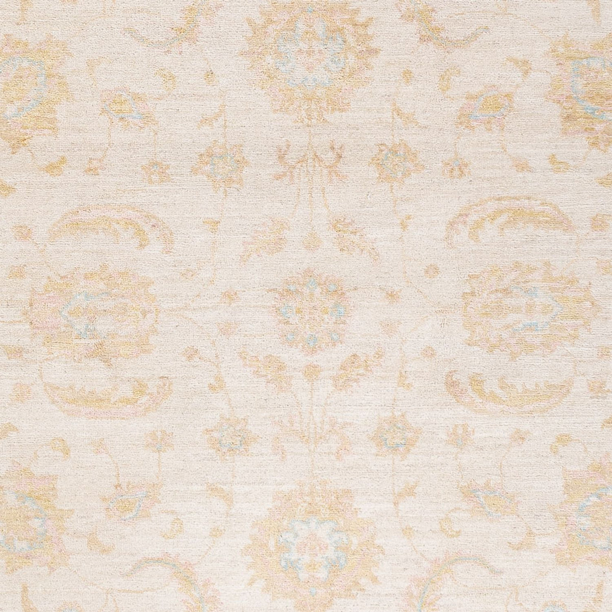 Ziegler Rug - 238 x 168 cm - cream