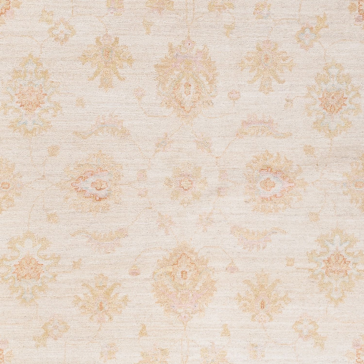 Ziegler Rug - 257 x 173 cm - cream