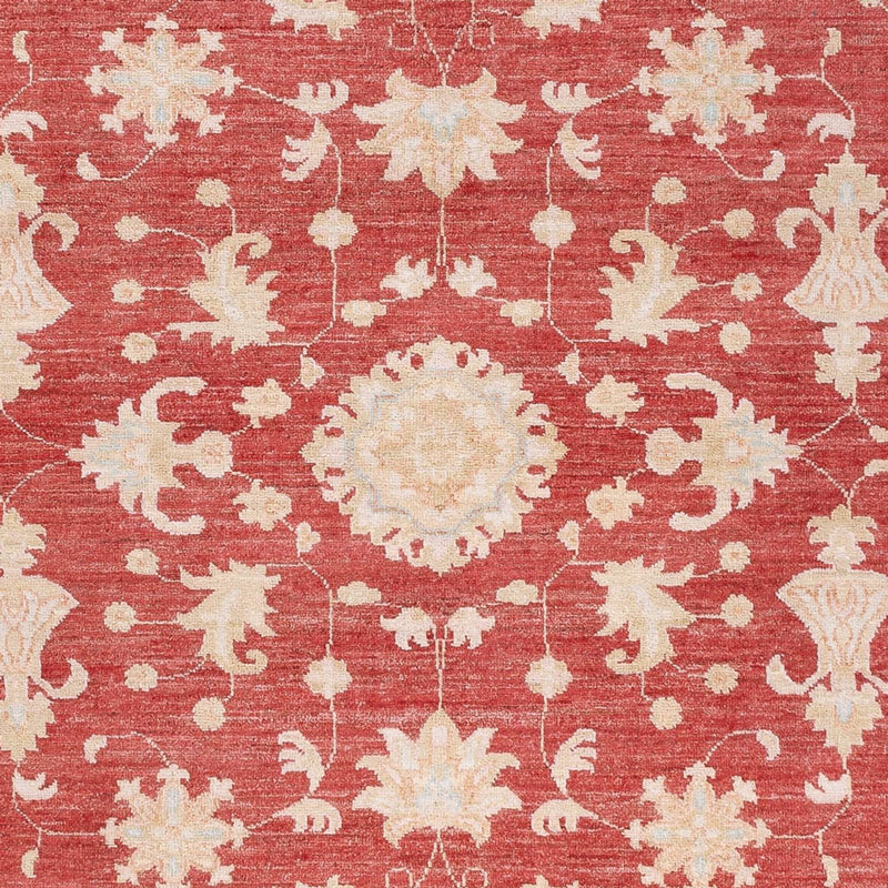 Ziegler Rug 227x172cm - Oriental Rug