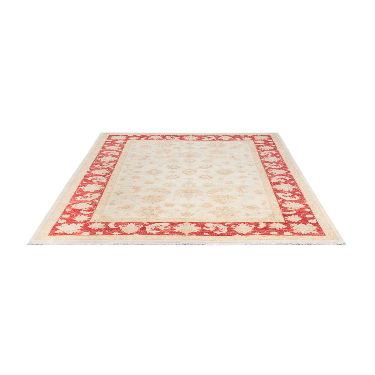 Ziegler Rug - 238 x 173 cm - cream