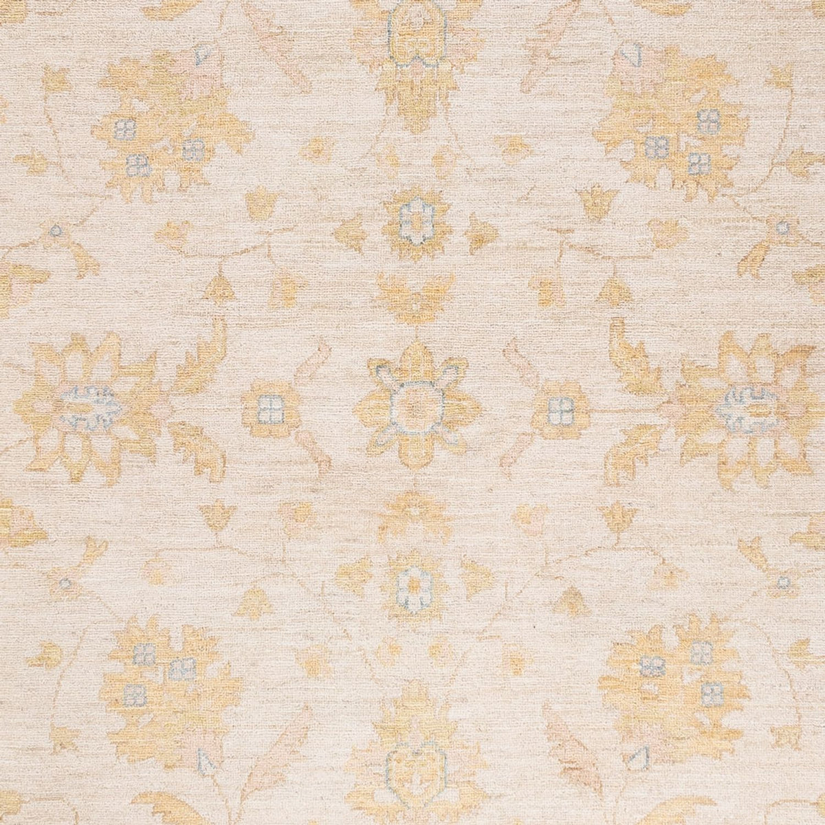 Ziegler Rug - 240 x 178 cm - cream