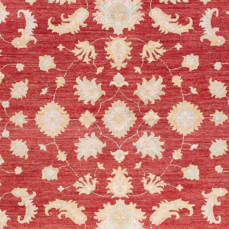 Ziegler Rug - 240 x 175 cm - red