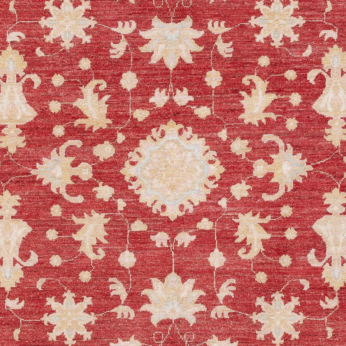 Ziegler Rug - 239 x 177 cm - red
