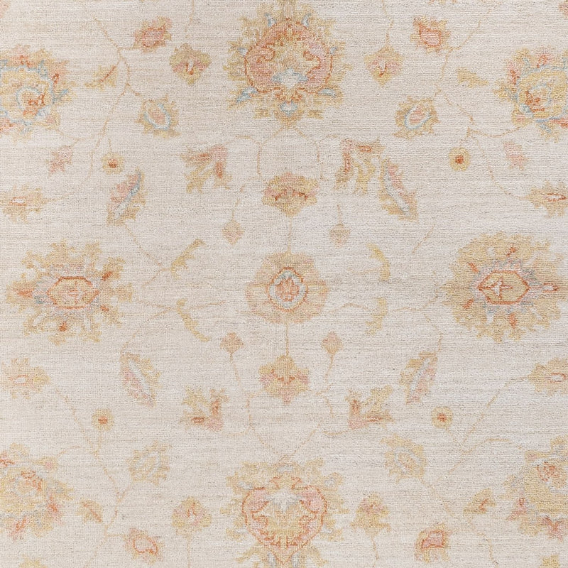 Ziegler Rug - 237 x 170 cm - cream