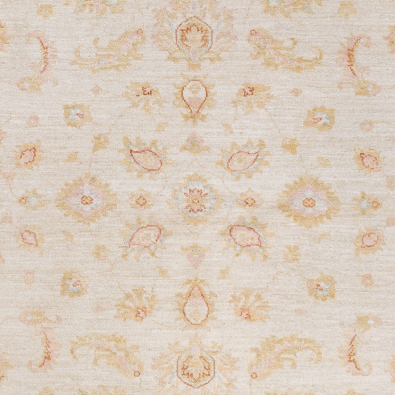 Ziegler Rug - 245 x 173 cm - cream