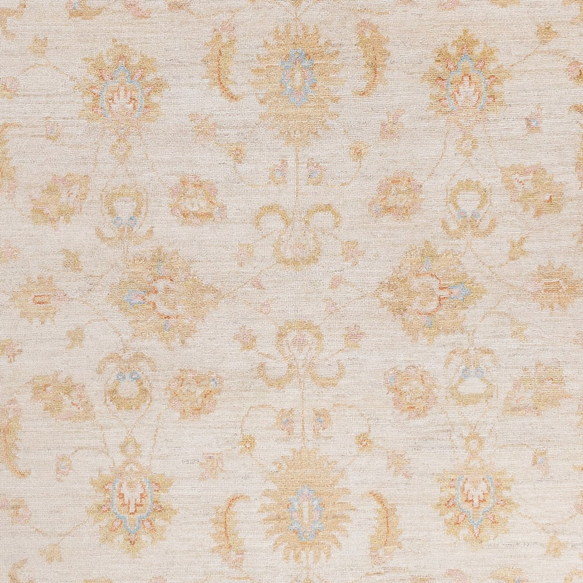 Ziegler Rug - 242 x 172 cm - cream