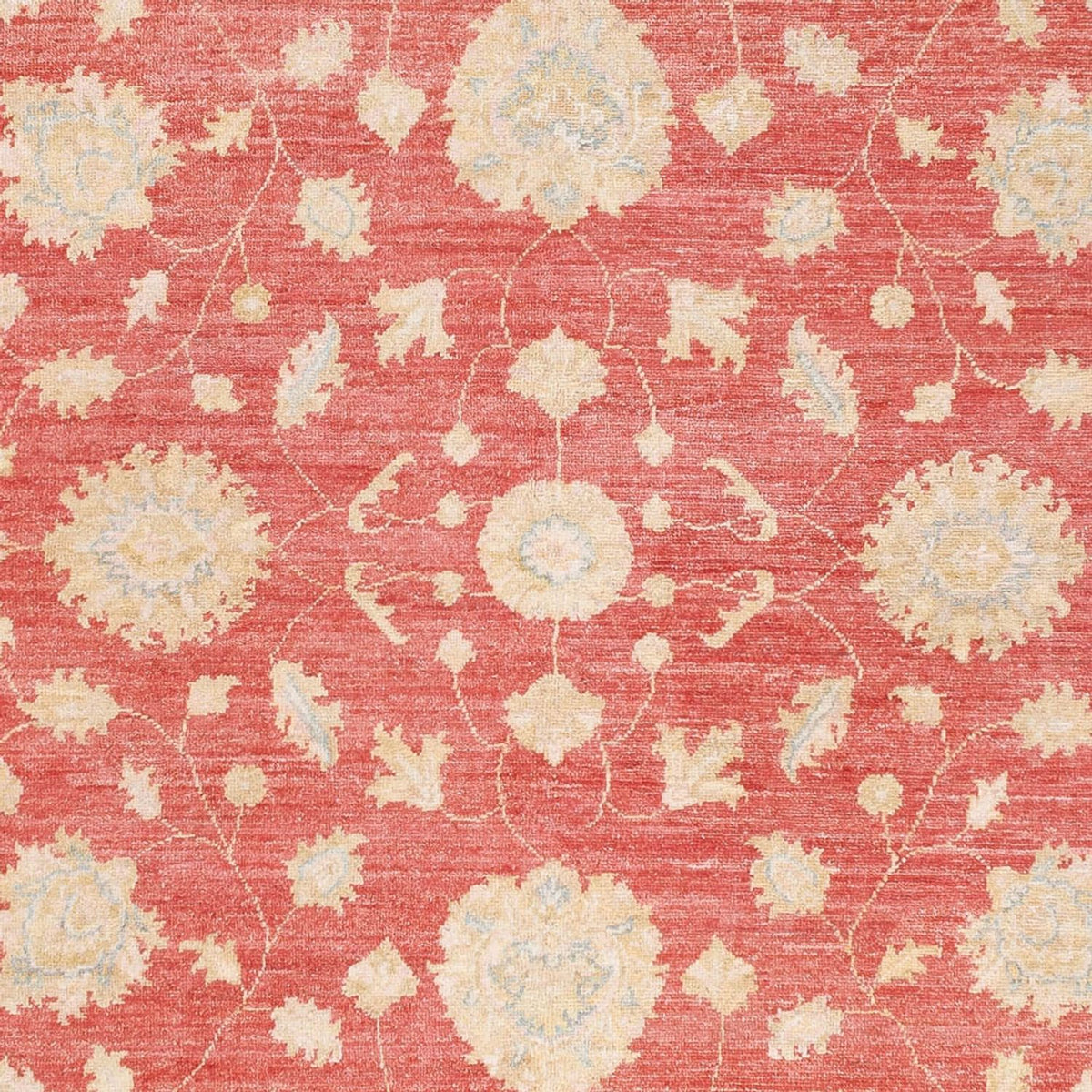 Ziegler Rug - 251 x 173 cm - red