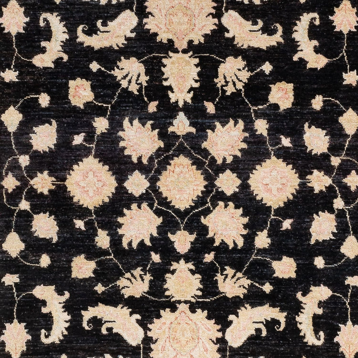 Ziegler Rug - 252 x 169 cm - black