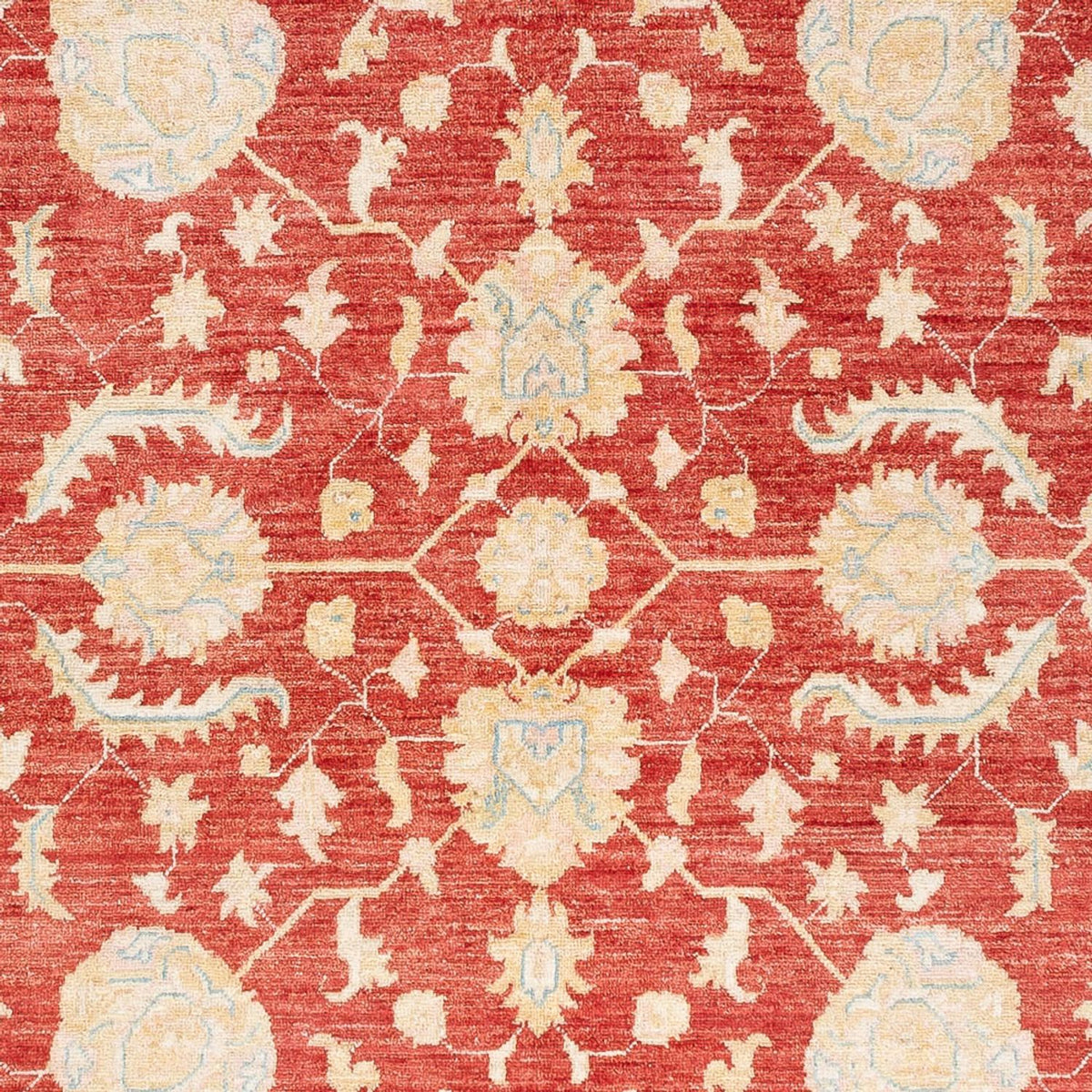 Ziegler Rug - 233 x 170 cm - red