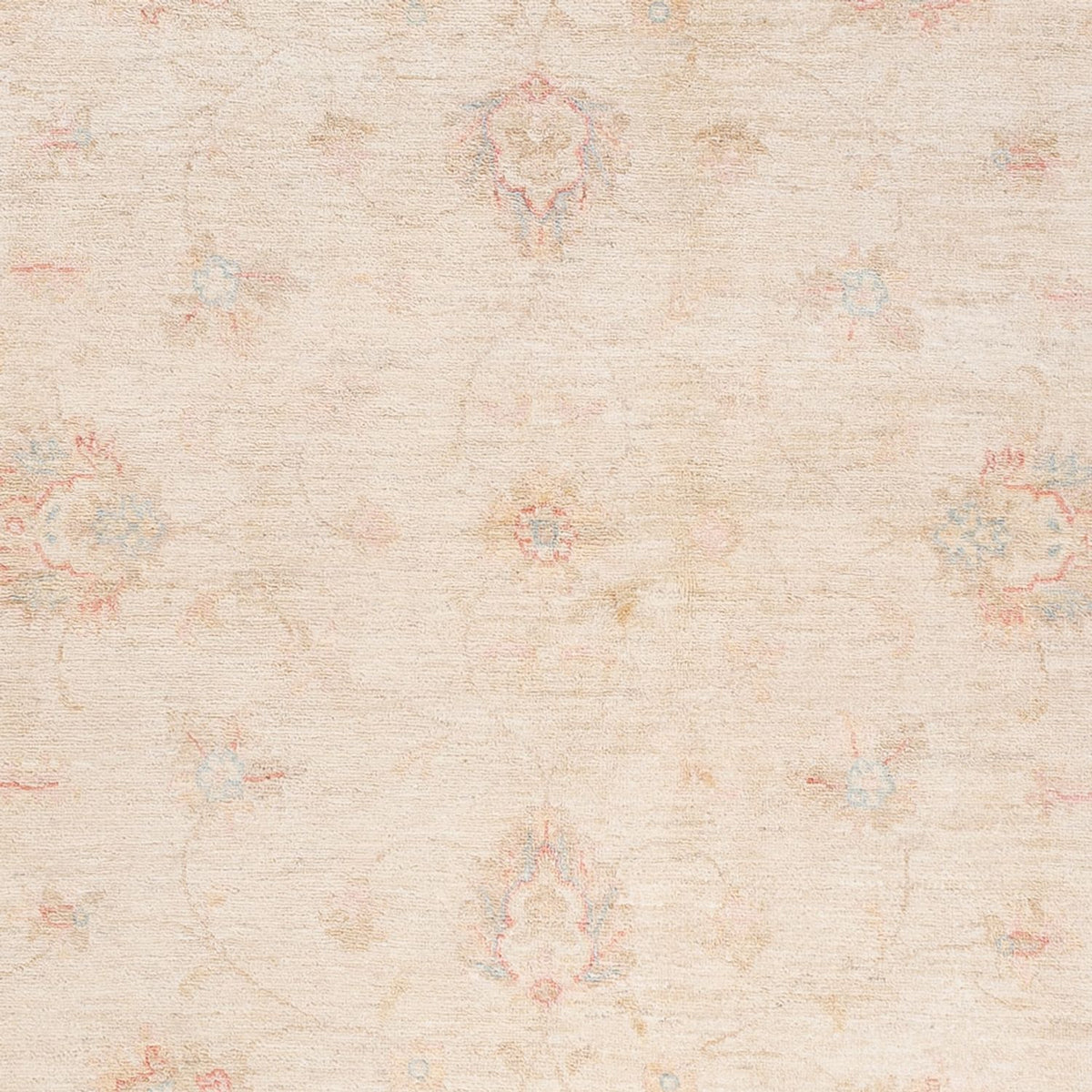 Ziegler Rug - Ariana - 241 x 173 cm - beige