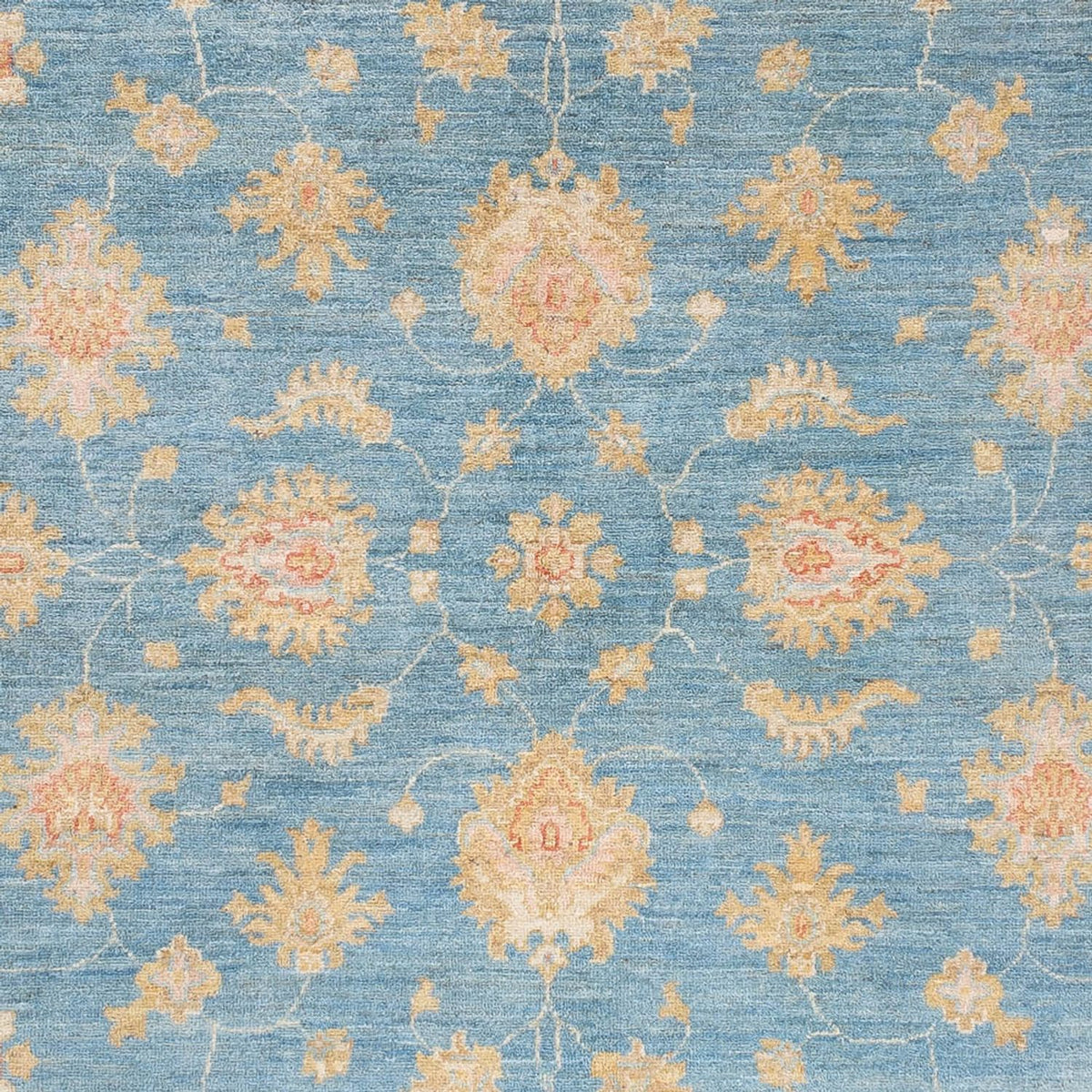 Ziegler Rug - 240 x 172 cm - blue