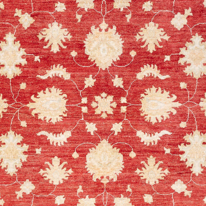 Ziegler Rug - 240 x 175 cm - red