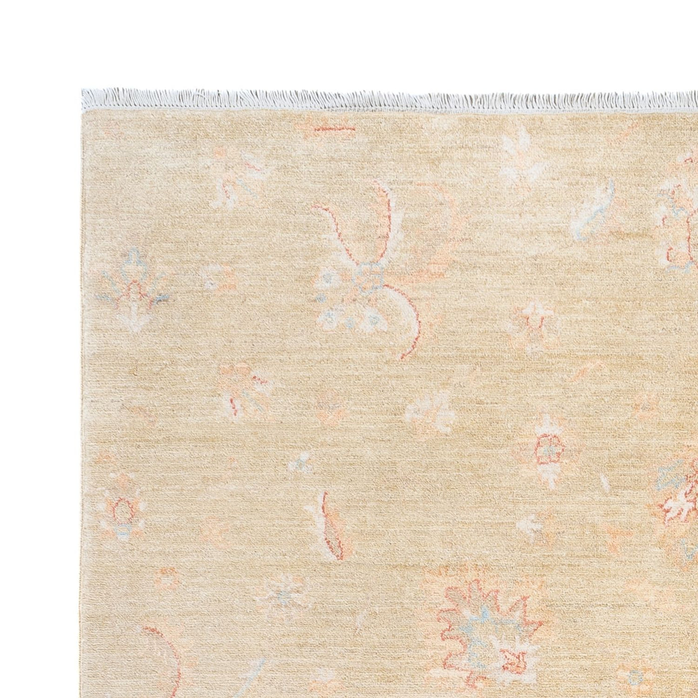 Ariana Rug 243x172cm - Oriental Rug