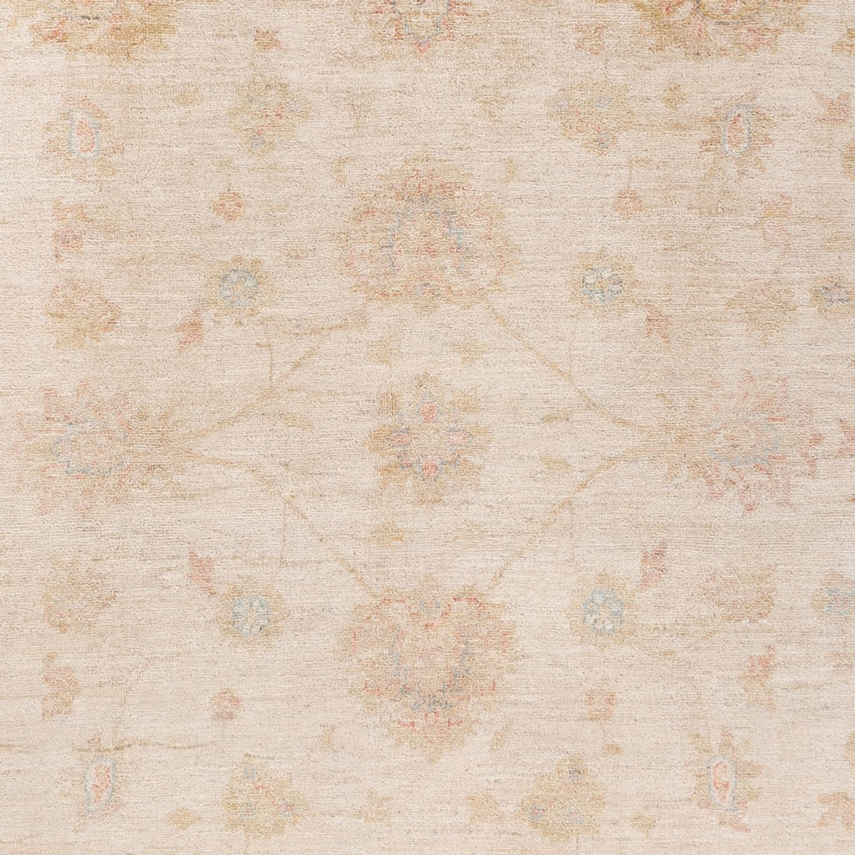 Ziegler Rug - Ariana - 229 x 170 cm - beige