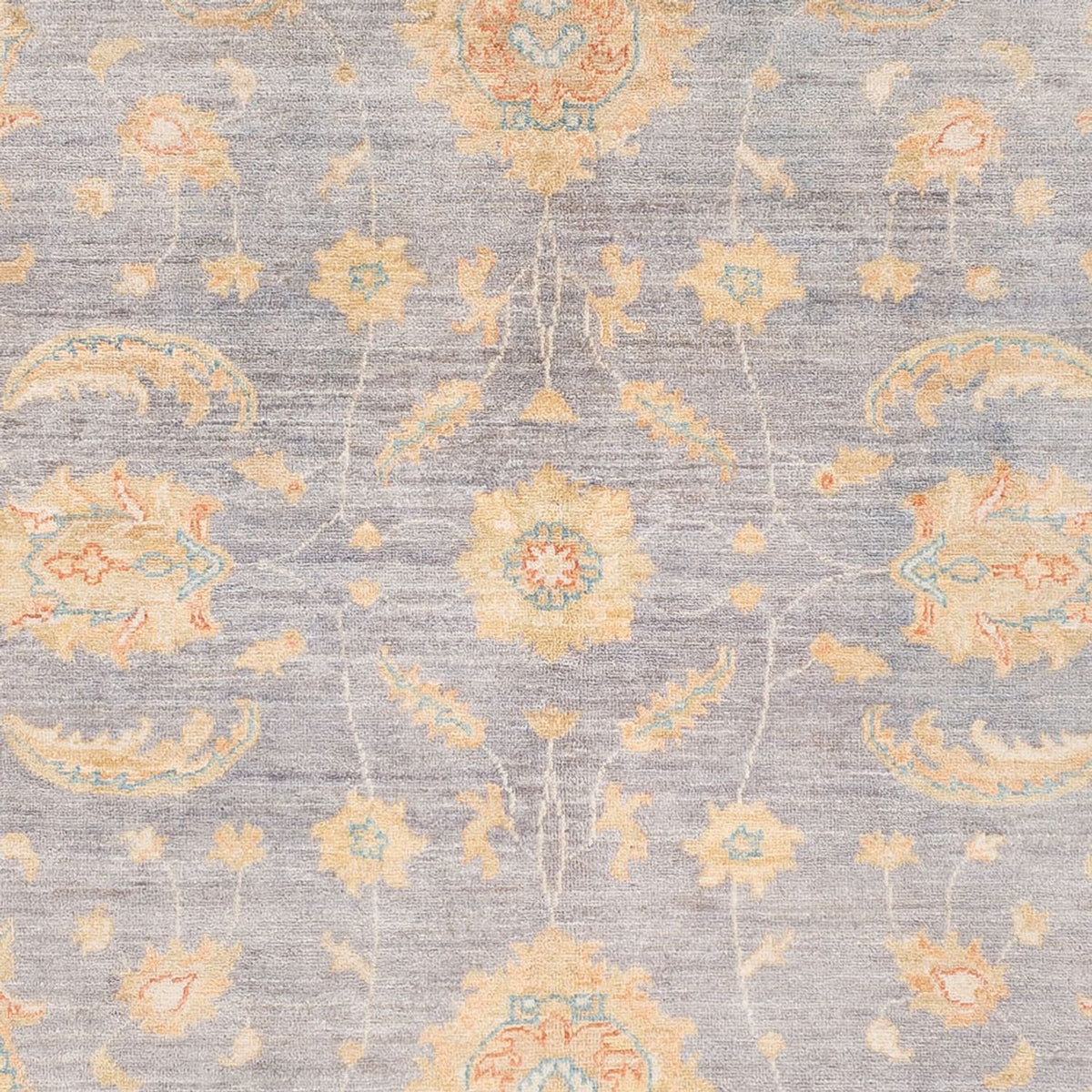 Ziegler Rug - Ariana - 238 x 173 cm - sea blue