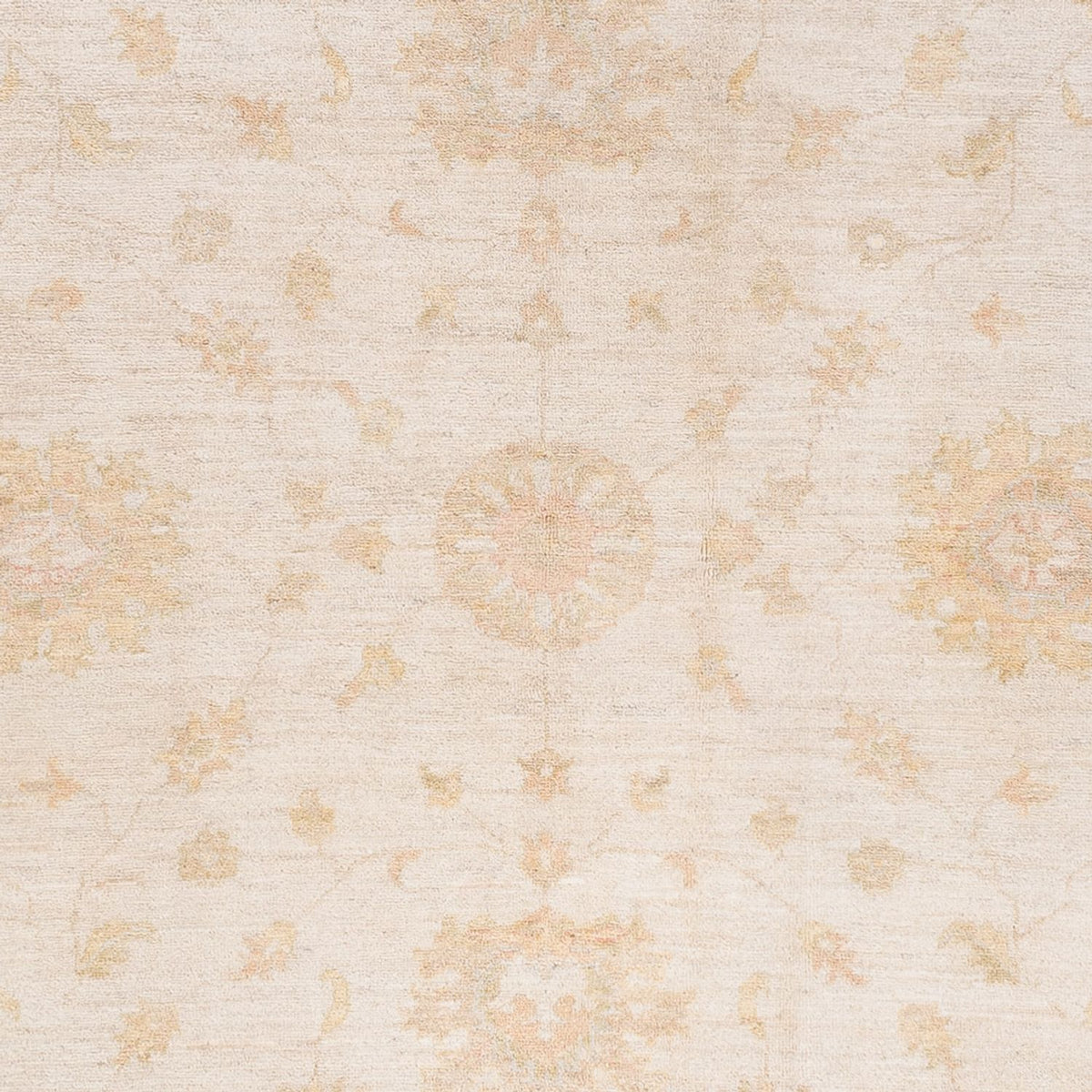 Ziegler Rug - Ariana - 240 x 182 cm - light beige