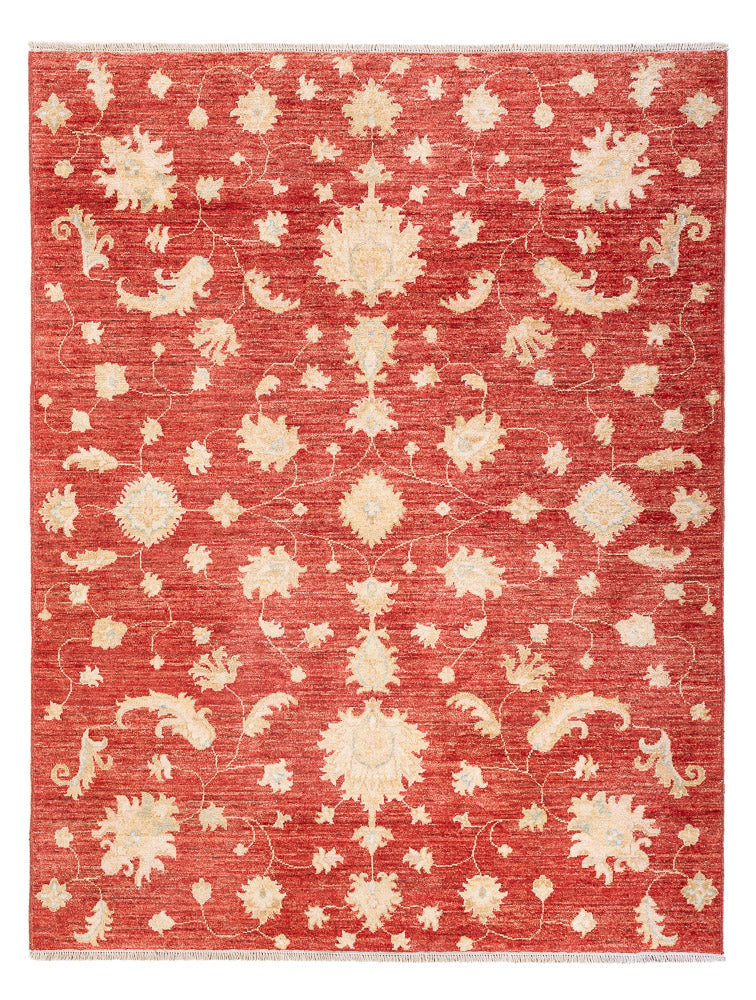Ziegler Rug - Modern - 206 x 154 cm - red