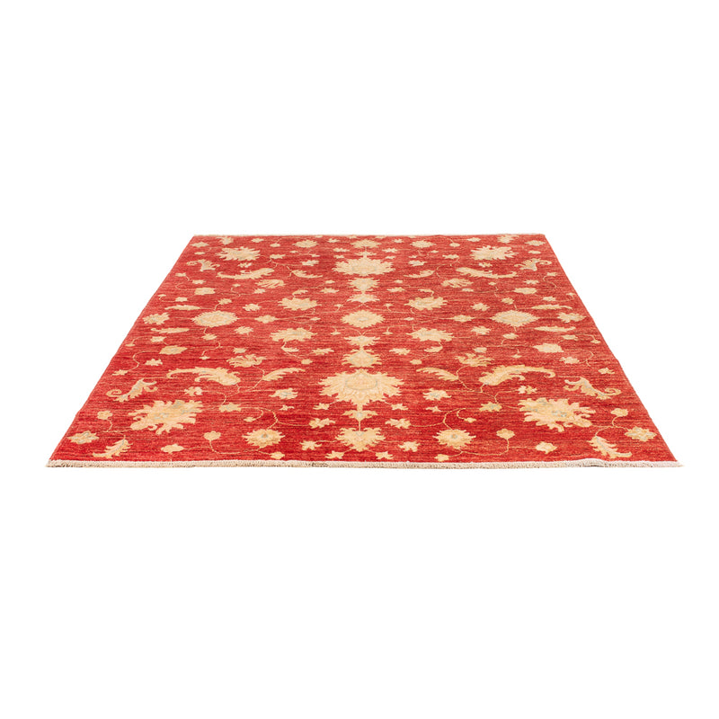 Ziegler Rug - Modern - 206 x 154 cm - red