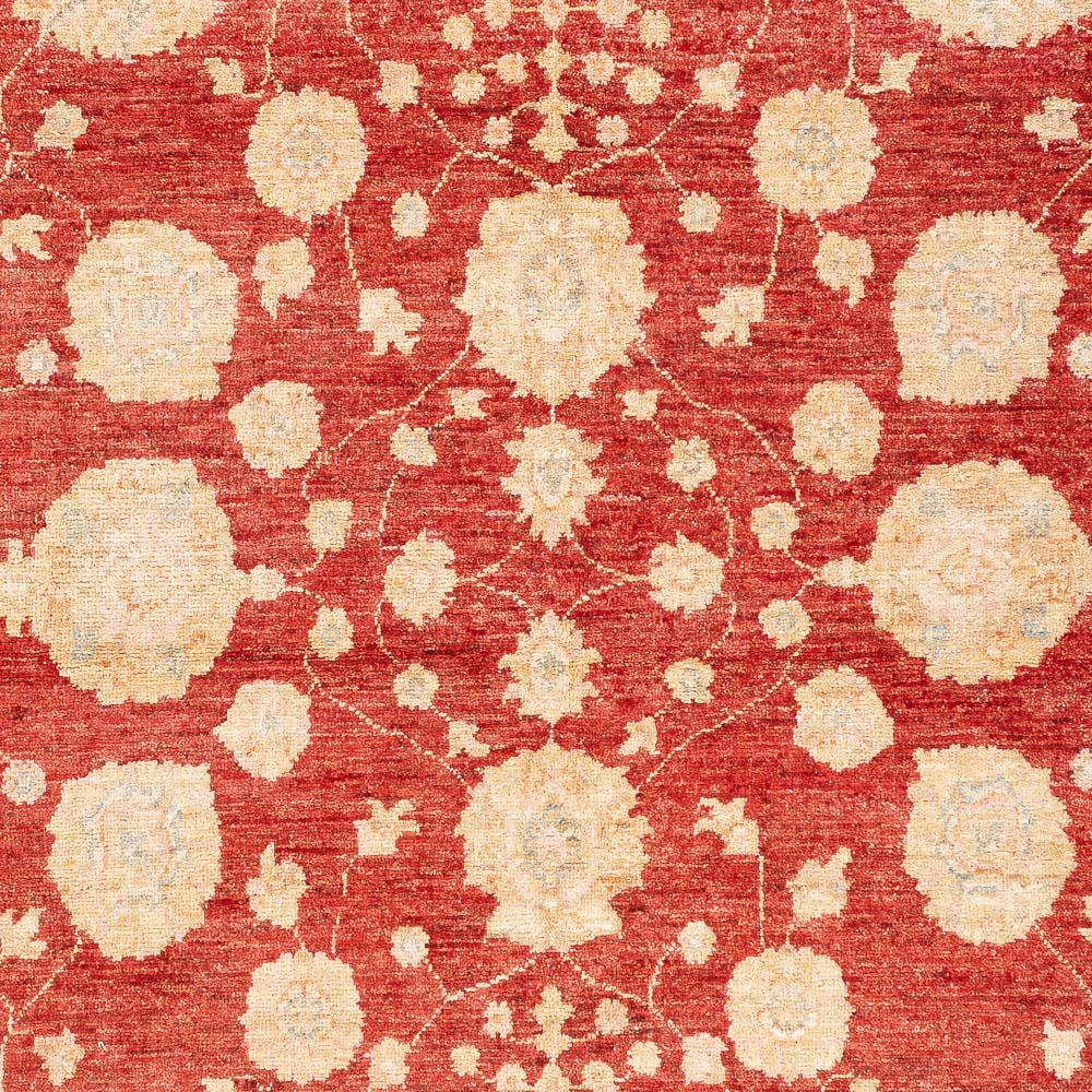 Ziegler Rug - 210 x 152 cm - red