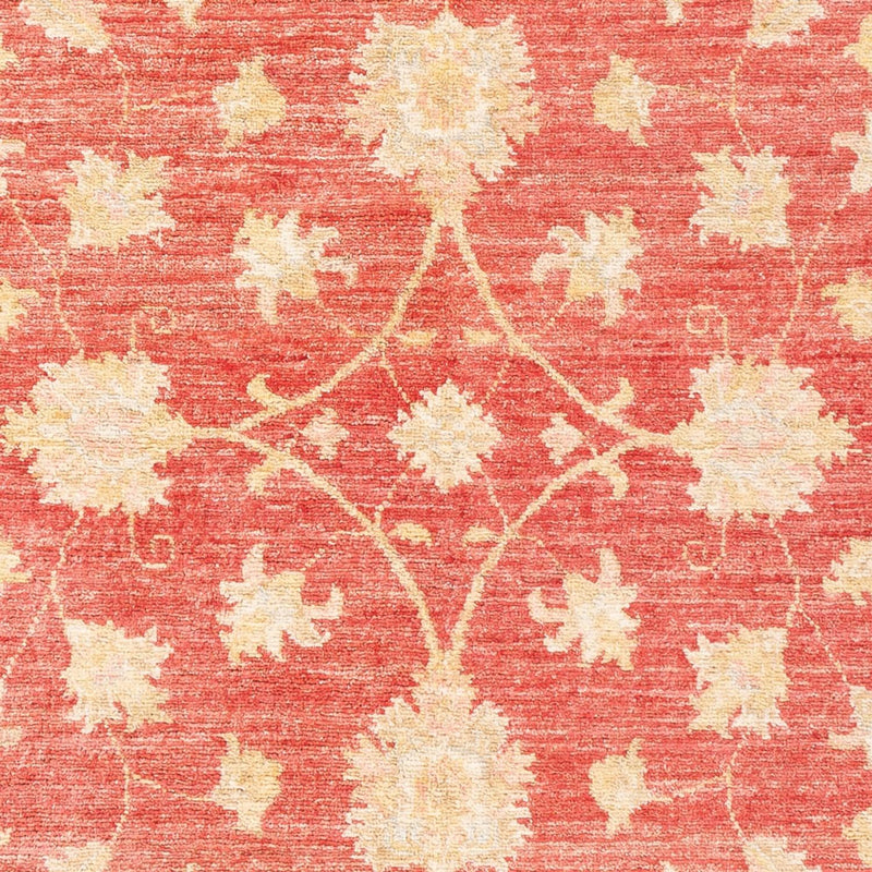 Ziegler Rug - 176 x 116 cm - red