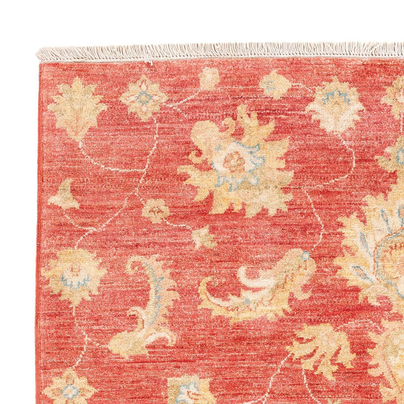Ziegler Rug - 180 x 127 cm - red