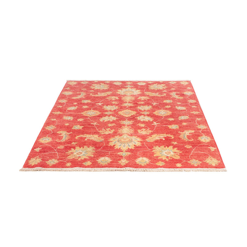 Ziegler Rug - 180 x 127 cm - red