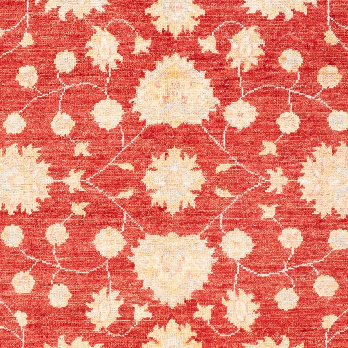 Ziegler Rug - 177 x 126 cm - red