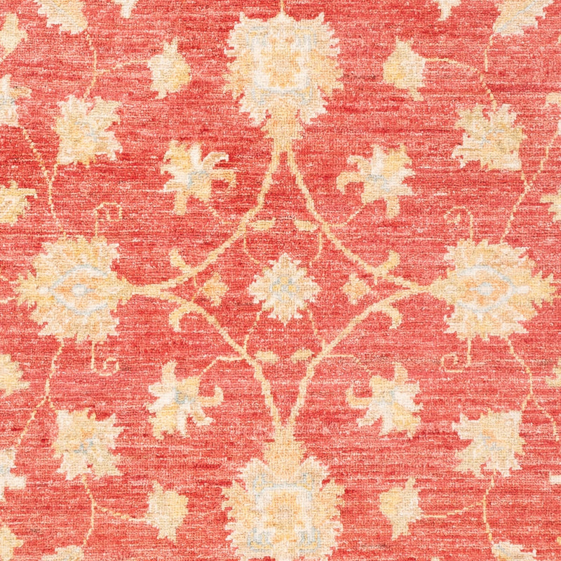 Ziegler Rug 183x125cm - Oriental Rug