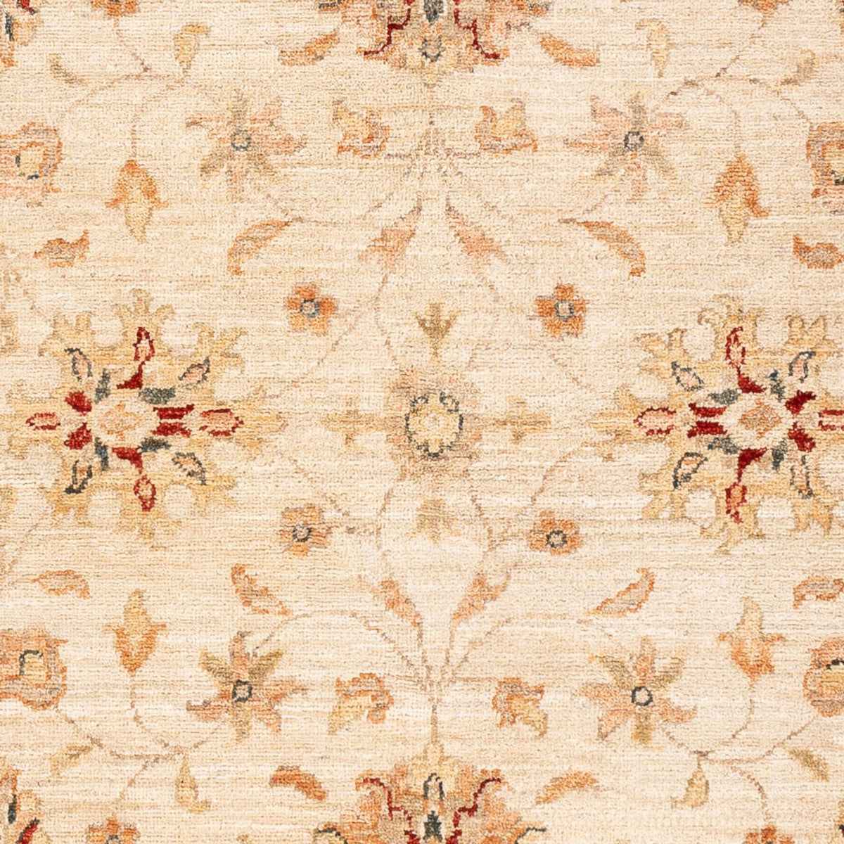Ziegler Rug - 184 x 123 cm - beige