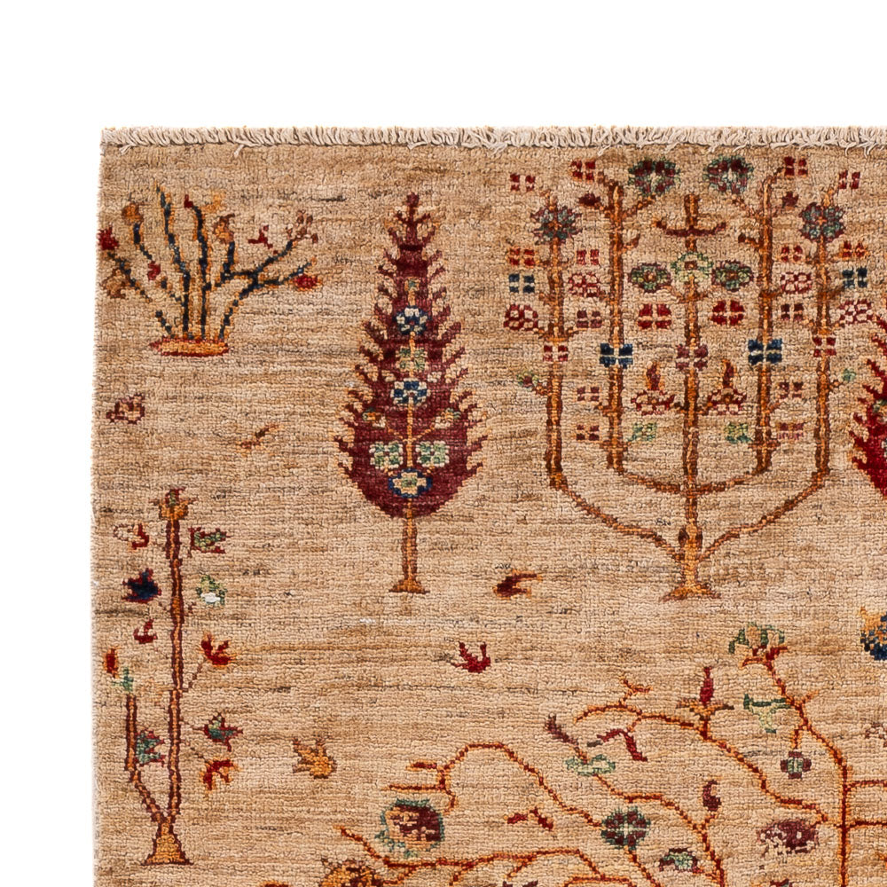 Ariana Rug 160x105cm - Oriental Rug
