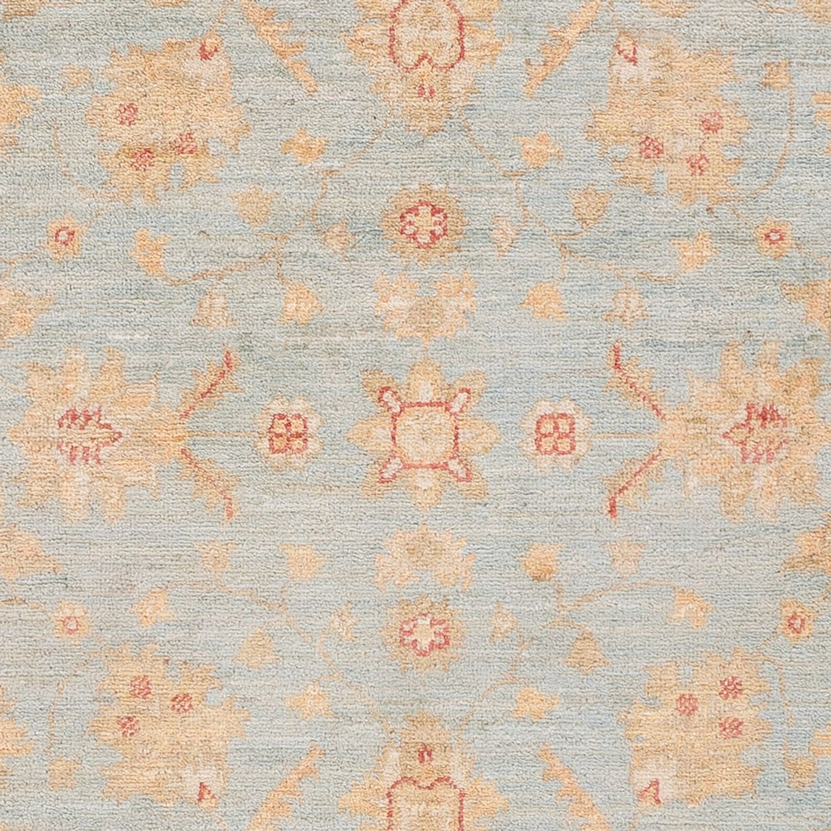 Ziegler Rug - 150 x 101 cm - light blue