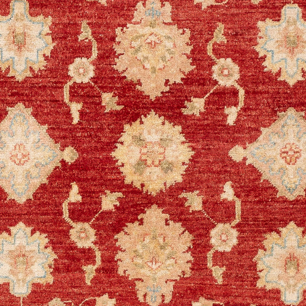 Ziegler Rug - 151 x 102 cm - red