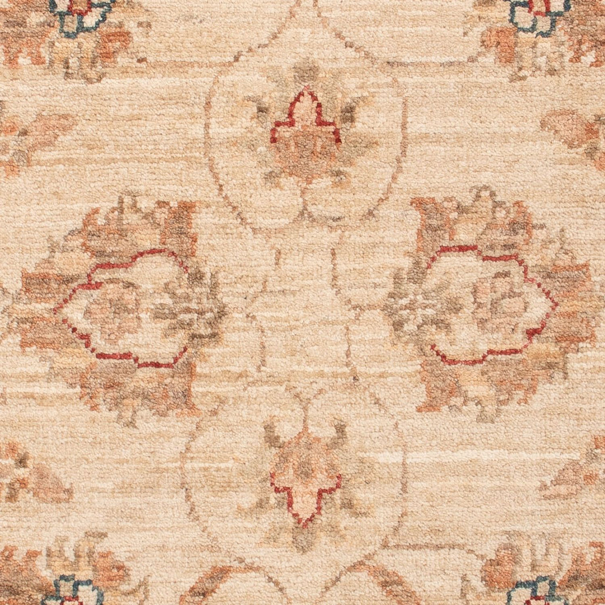 Ziegler Rug - 128 x 80 cm - beige