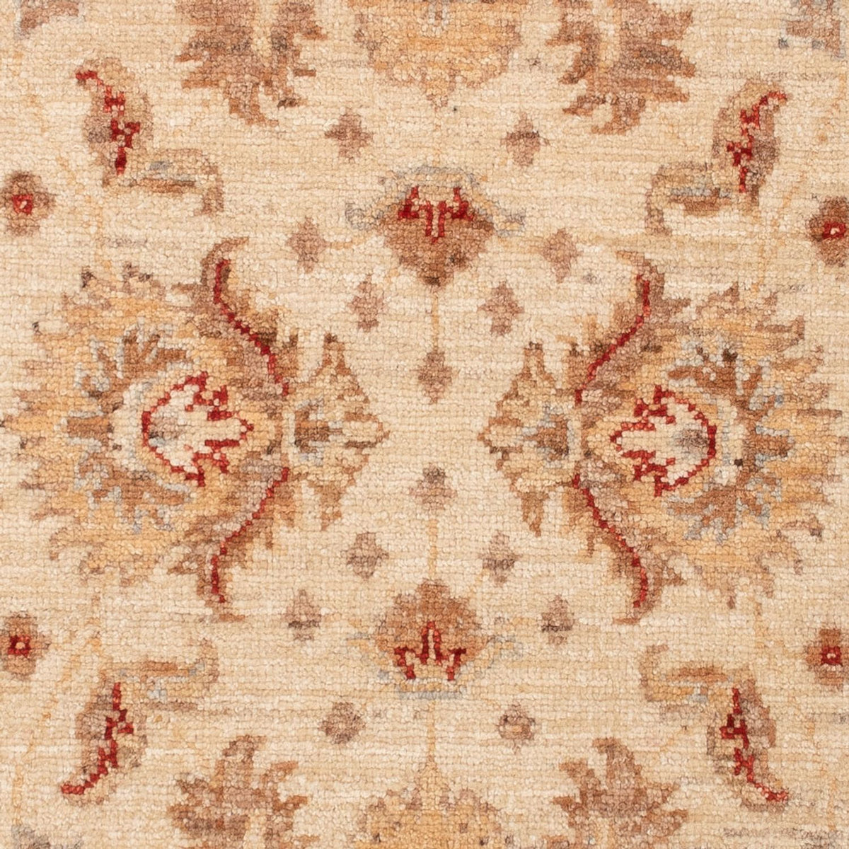 Ziegler Rug - 142 x 72 cm - beige
