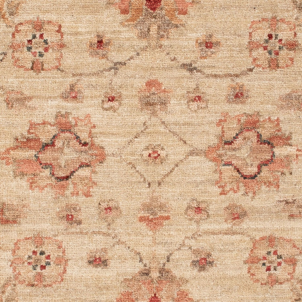 Ziegler Rug - 123 x 82 cm - beige