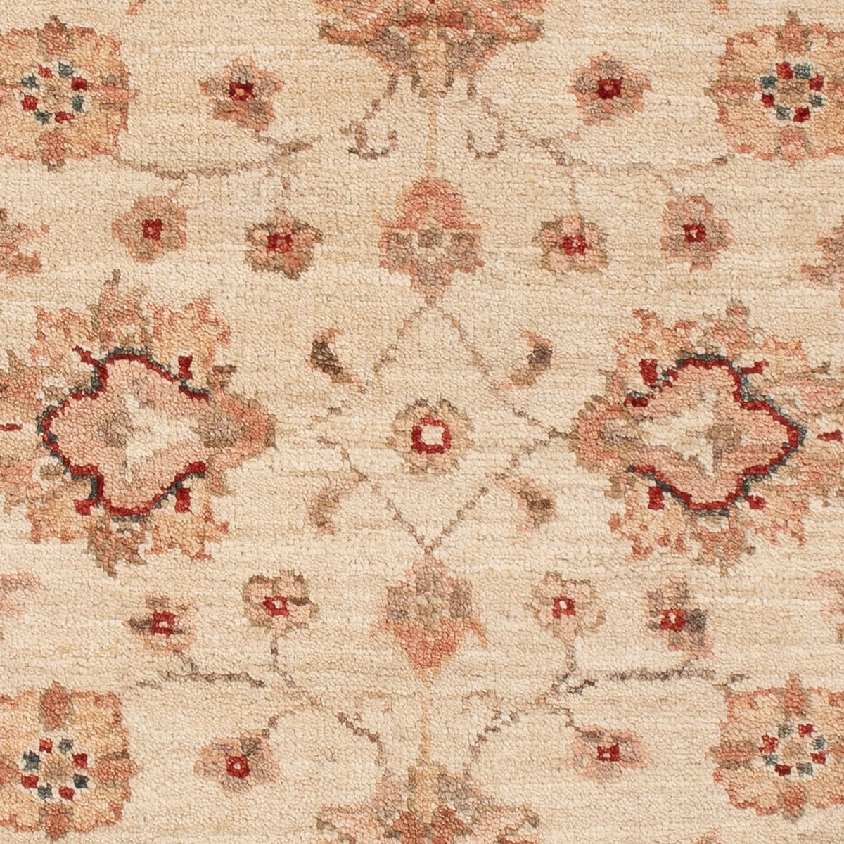 Ziegler Rug - 109 x 88 cm - beige